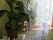 Аренда 1-комнатной квартиры посуточно, 30 м, Жарокова, дом 180 - Карасай батыра в Алматы - фото 3