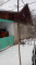 Продажа 3-комнатного дома, Мерей в Алматинской области - фото 16