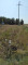 Продажа земельного участка, 4 га, Дамса п., 47 в Акмолинской области - фото 17