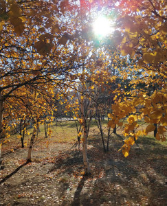 Жилстройсбербанк в Актау принимает документы на дом для всех категорий населения | kn.kz