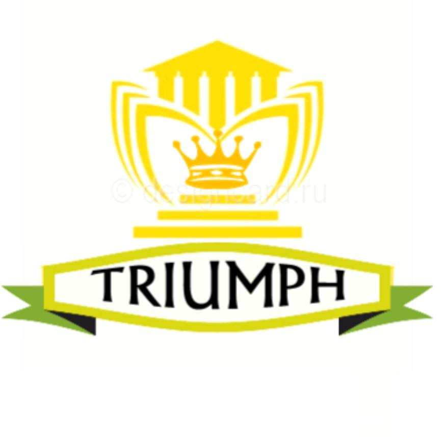 Караганда услуги. Компания Triumph. Триумф агентство недвижимости