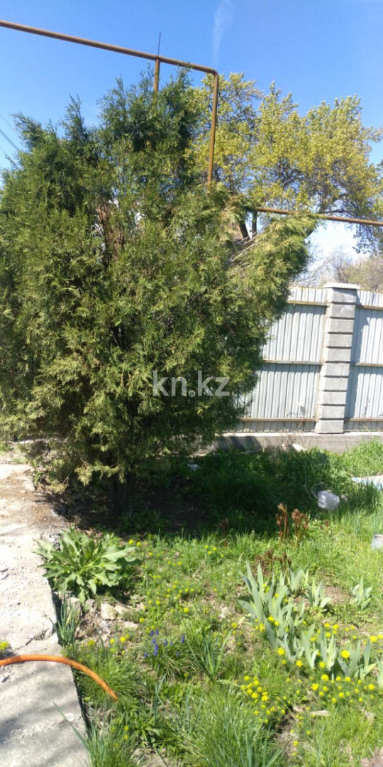 Продажа дачи, 8.3 сот., Кендала в Алматинской области - фото 20