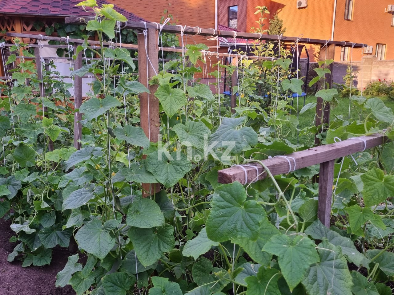 Продажа 7-комнатного дома, 450 м², Комсомольский в Астане - фото 7