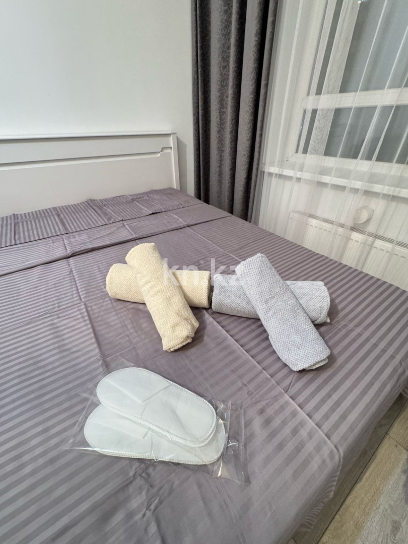 Аренда 1-комнатной квартиры посуточно, 45 м², ул. Анет баба, дом  12 в Астане - фото 2