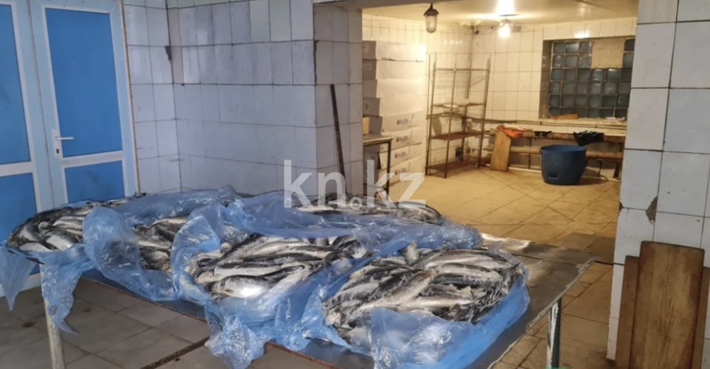 Продажа бизнеса, 2000 м² в Семее - фото 3