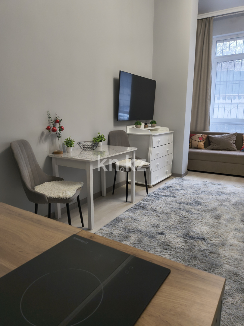 Аренда 1-комнатной квартиры, 34 м², пр. Назарбаева, дом  28А - Раимбека в Алматы - фото 12