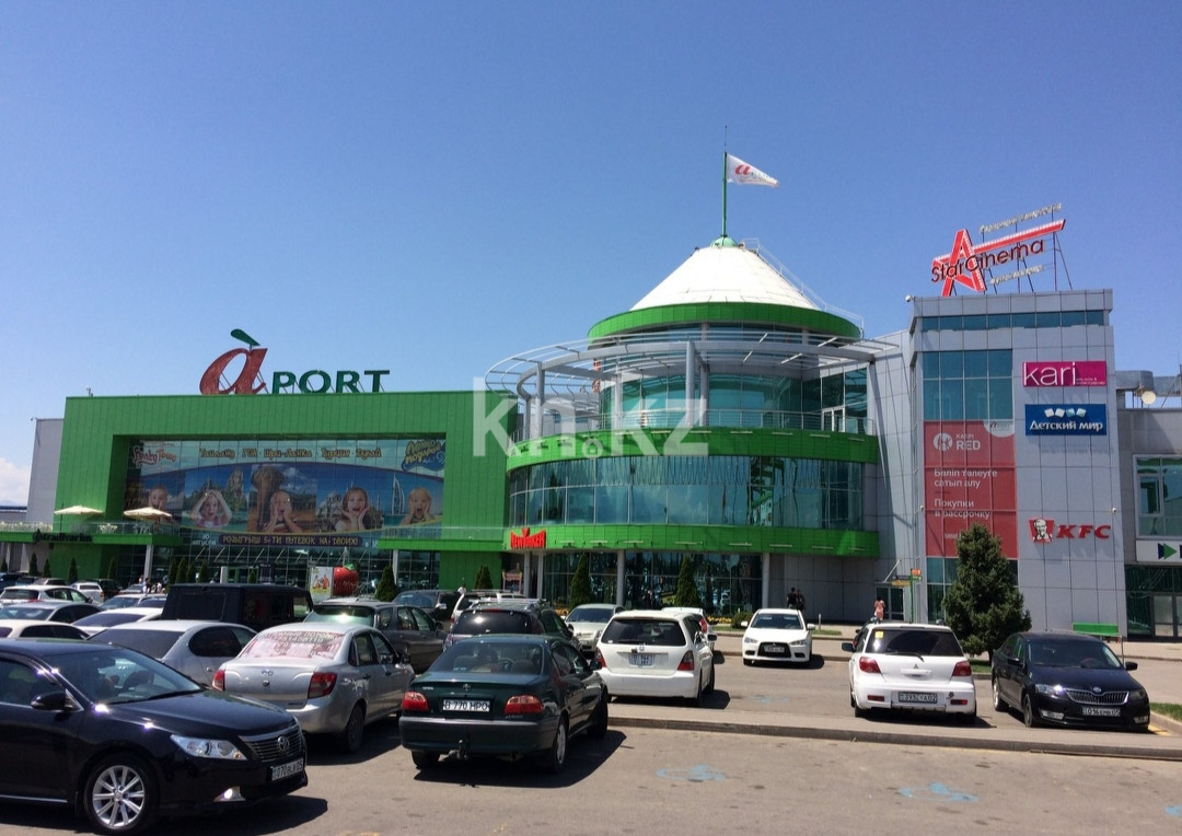 Аренда 1-комнатной квартиры посуточно, 40 м², пр. Райымбека, дом  590/8 - Алатау в Алматы - фото 12