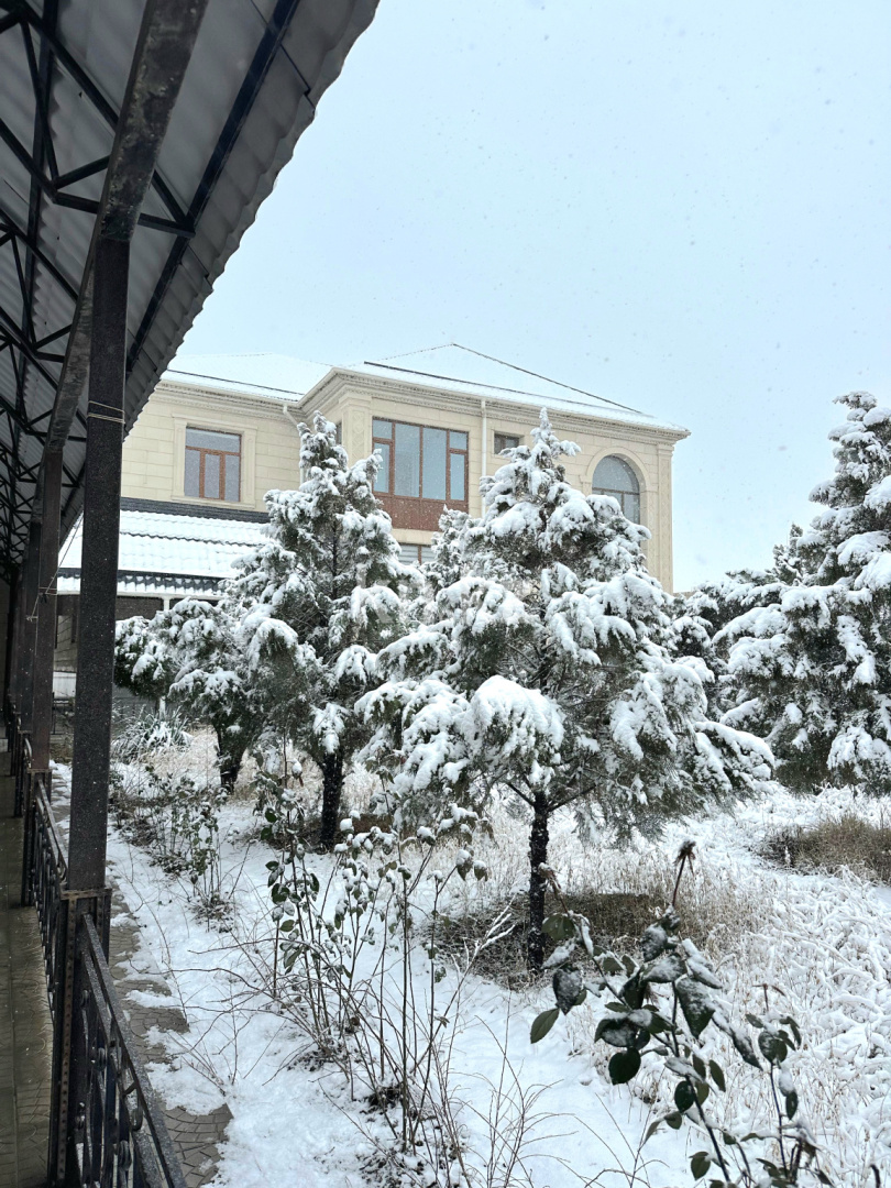 Продажа 9-комнатного дома, 500 м² в Шымкенте - фото 39