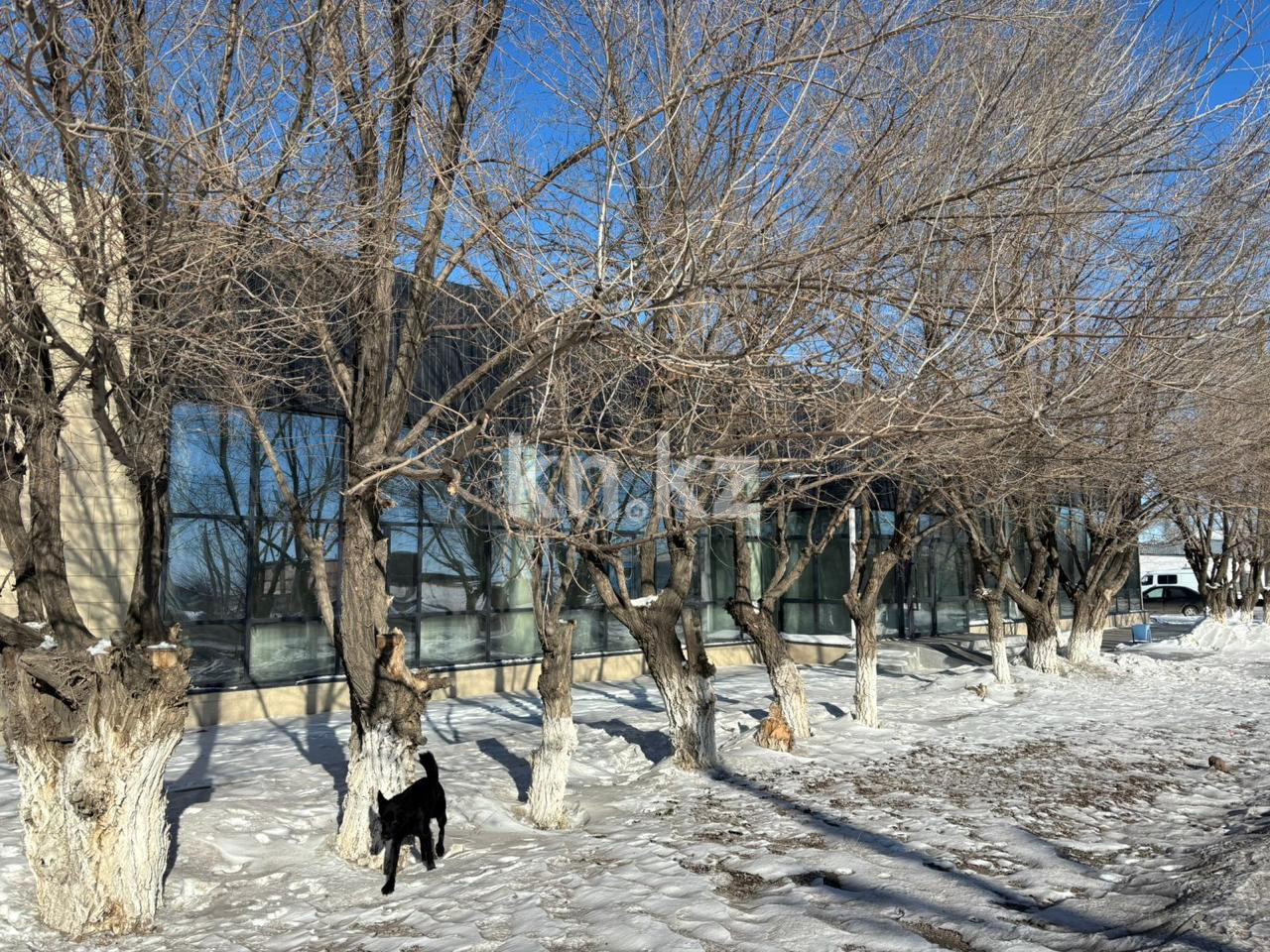 Аренда здания, 620 м² в Жезказгане - фото 2