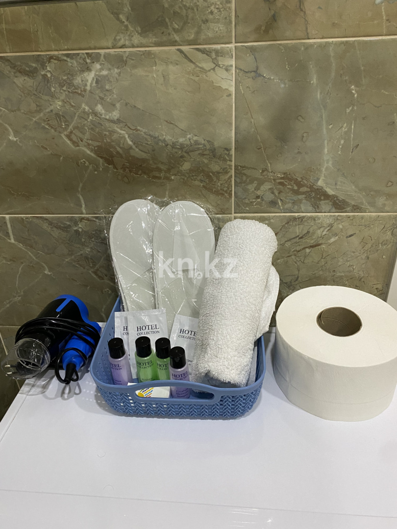 Аренда 1-комнатной квартиры посуточно, 38 м², пр. Кабанбай батыра, дом  48/7 - ул. Орынбор в Астане - фото 8