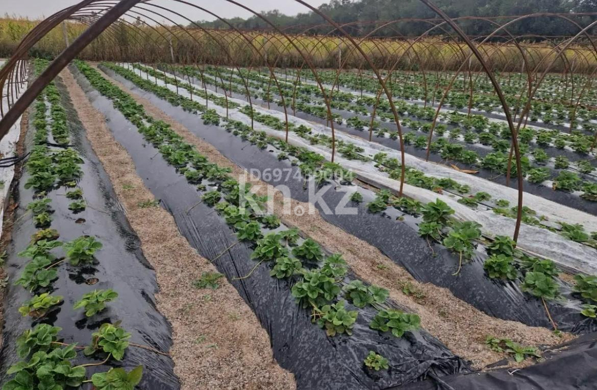 Продажа , 23500 м² в Алматы - фото 4