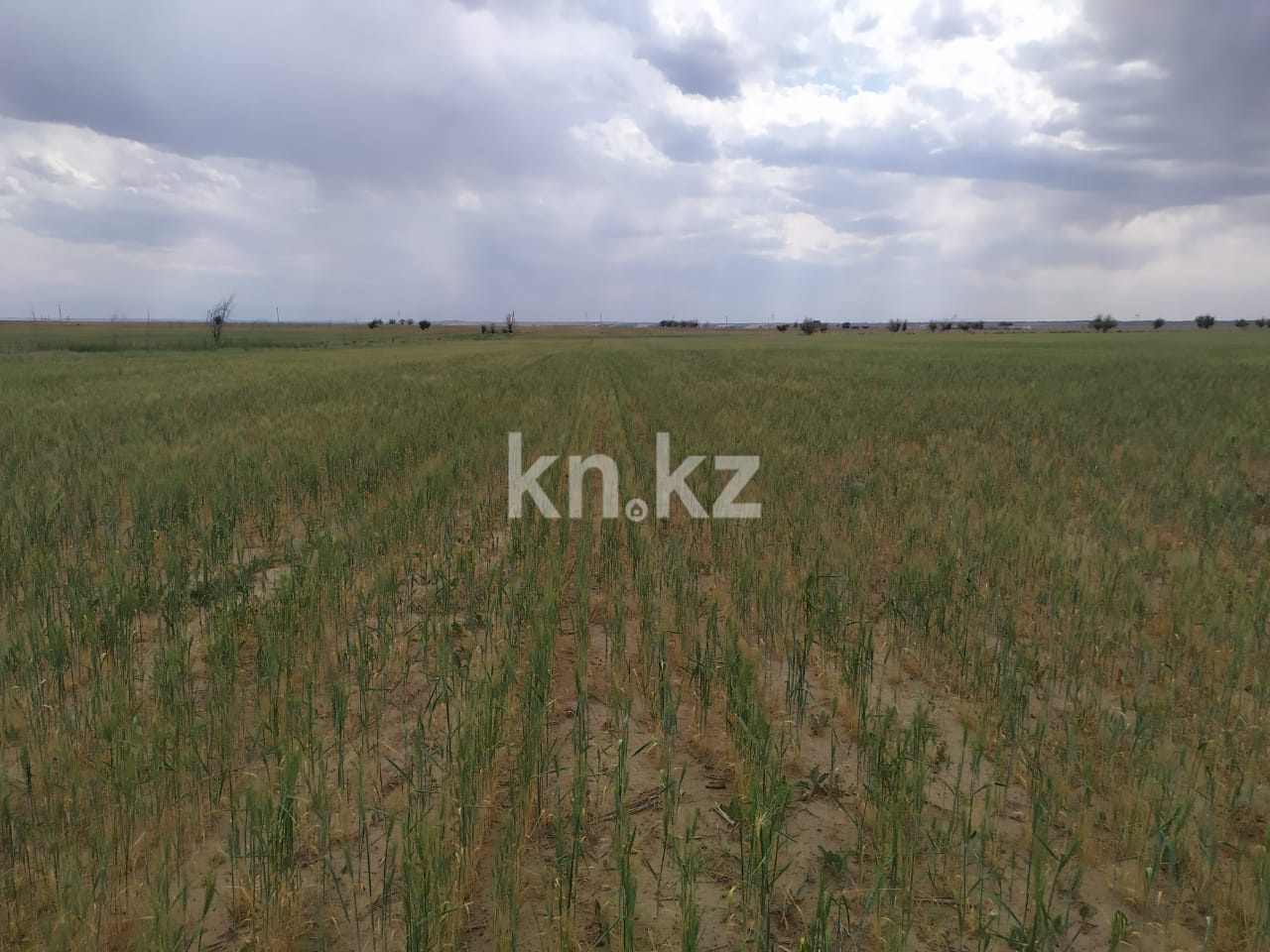 Продажа земельного участка, 4315 га, Участок 4315 в Алматинской области - фото 2