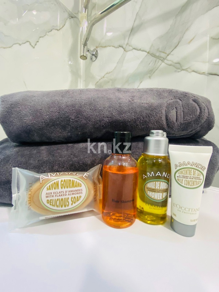 Аренда 1-комнатной квартиры посуточно, 33 м², ул. Айтиева, дом  154/1 - ул. Жамбыла в Алматы - фото 11