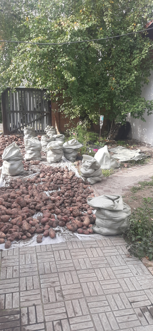 Продажа дачи, 12 сот., Союз, 52 в Усть-Каменогорске - фото 9