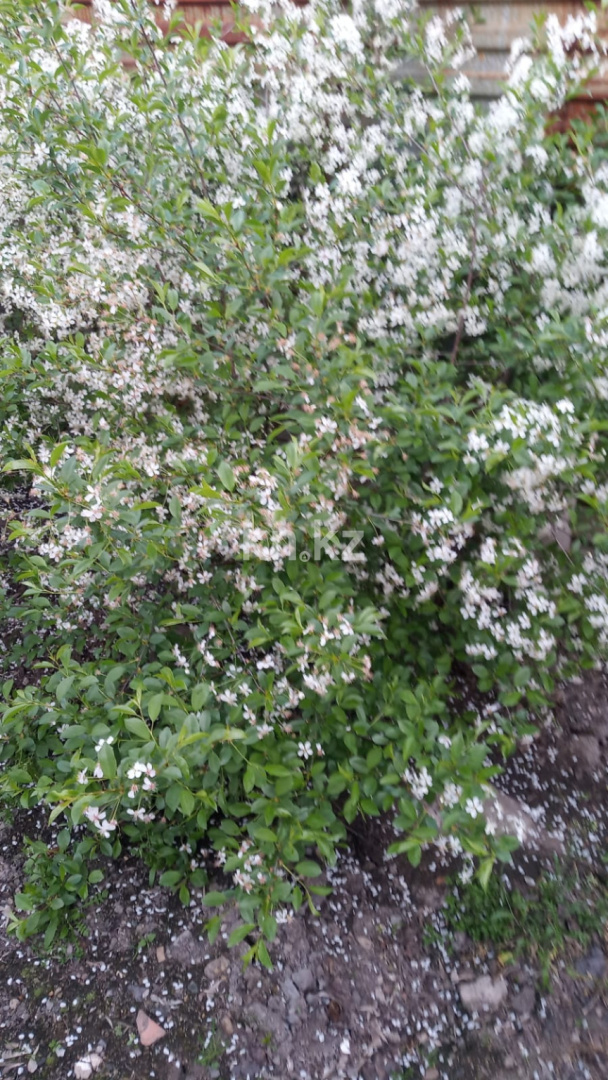 Продажа 4-комнатного дома, 56 м², ул. Жилстроевская, дом  47/2 в Караганде - фото 11