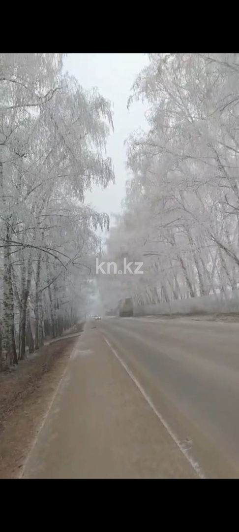 Продажа 3-комнатного дома, 77.8 м² в Алматинской области - фото 16