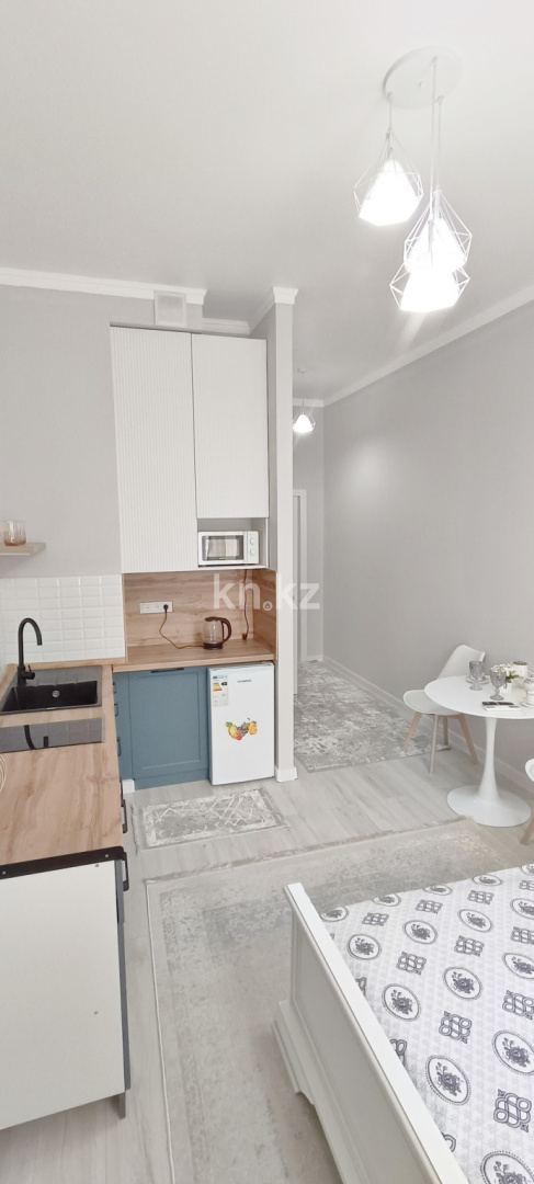 Аренда 1-комнатной квартиры посуточно, 28 м², мкр-н Калкаман-1, дом  5/7 - пр. Райымбека в Алматы - фото 2
