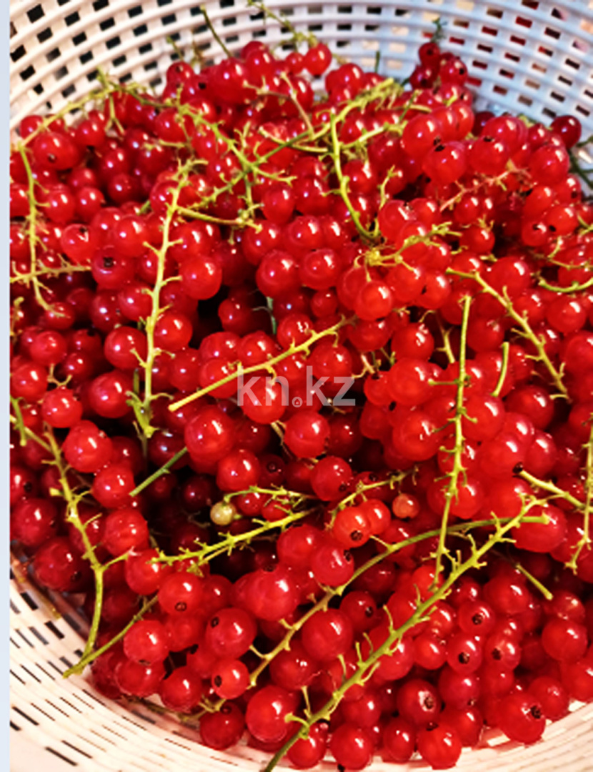 Продажа 4-комнатного дома, 90 м², ул. Урицкого в Алматы - фото 28