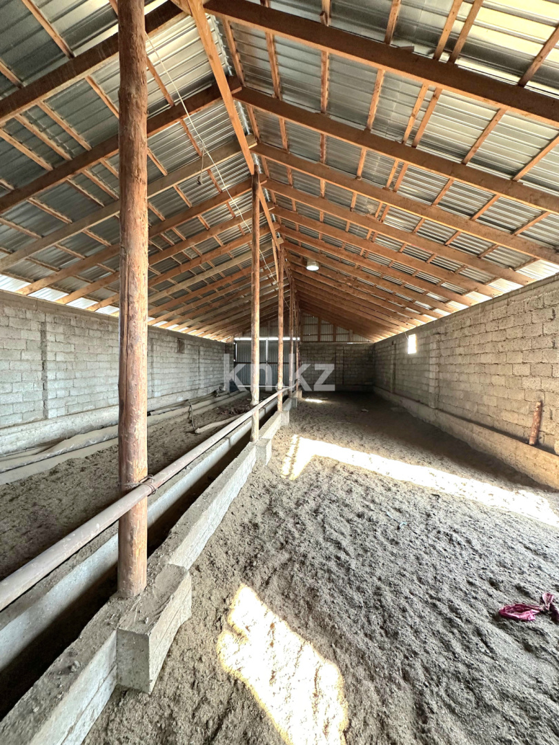 Продажа , 1200 м², ЖМ Алтынтобе, дом  1 в Шымкенте - фото 19