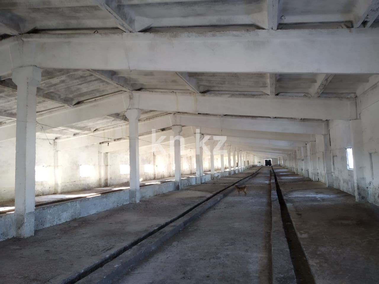 Продажа , 12000 м², ул. Абая в Шымкенте - фото 3