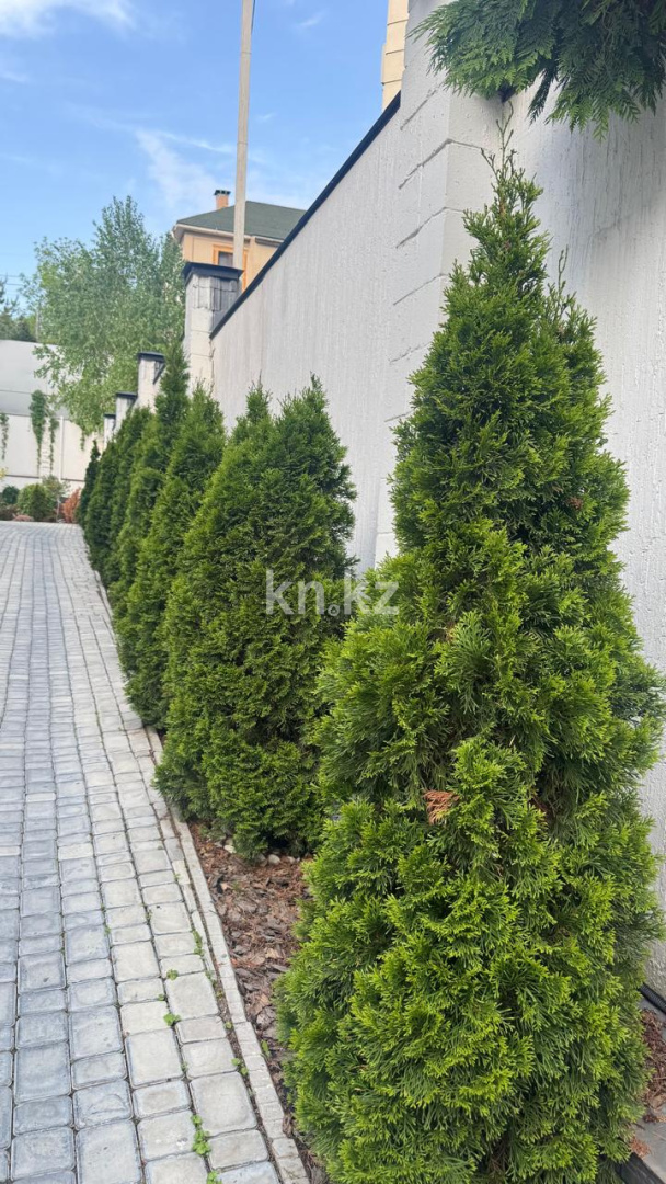 Продажа 9-комнатного дома, 587 м² в Алматы - фото 15