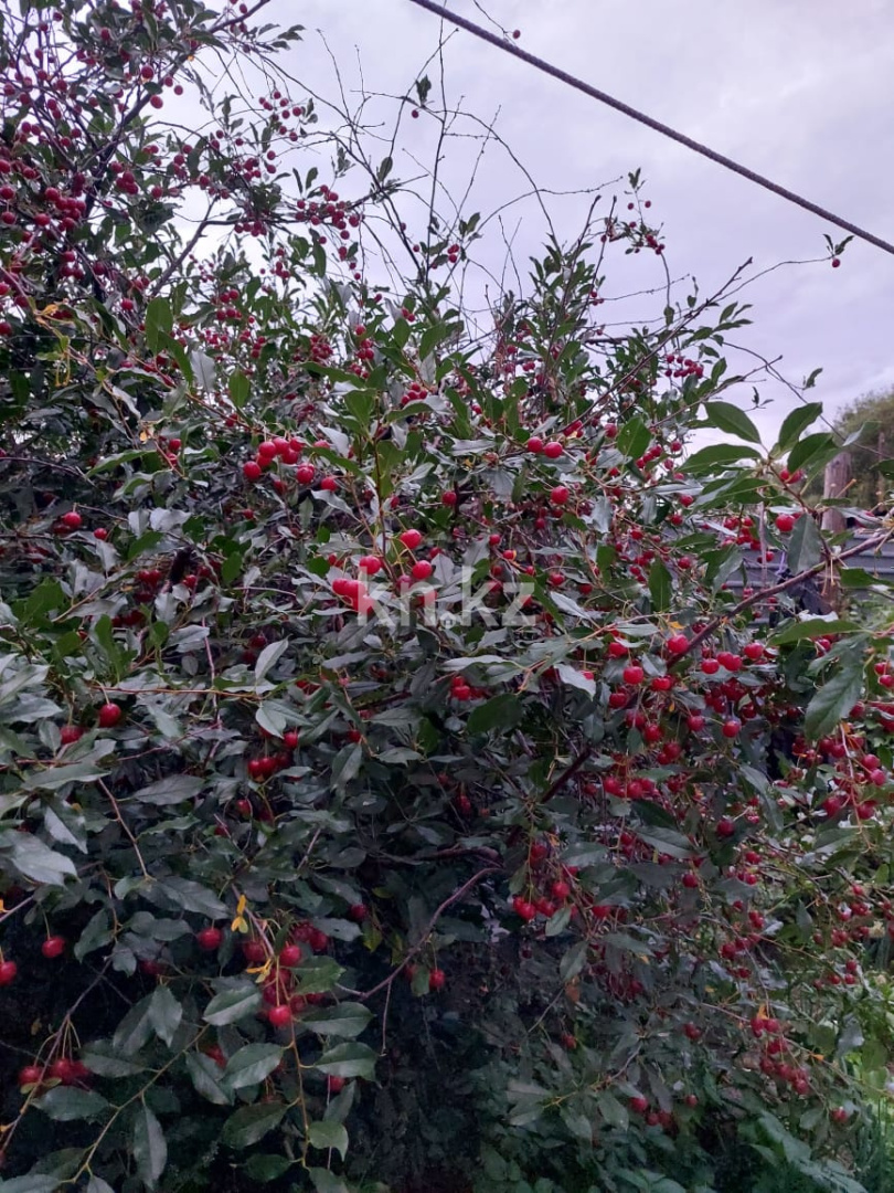 Продажа 4-комнатного дома, 56 м², ул. Жилстроевская, дом  47/2 в Караганде - фото 14