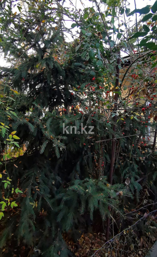 Продажа 5-комнатного дома, 178 м², Боралдай п. в Алматинской области - фото 6