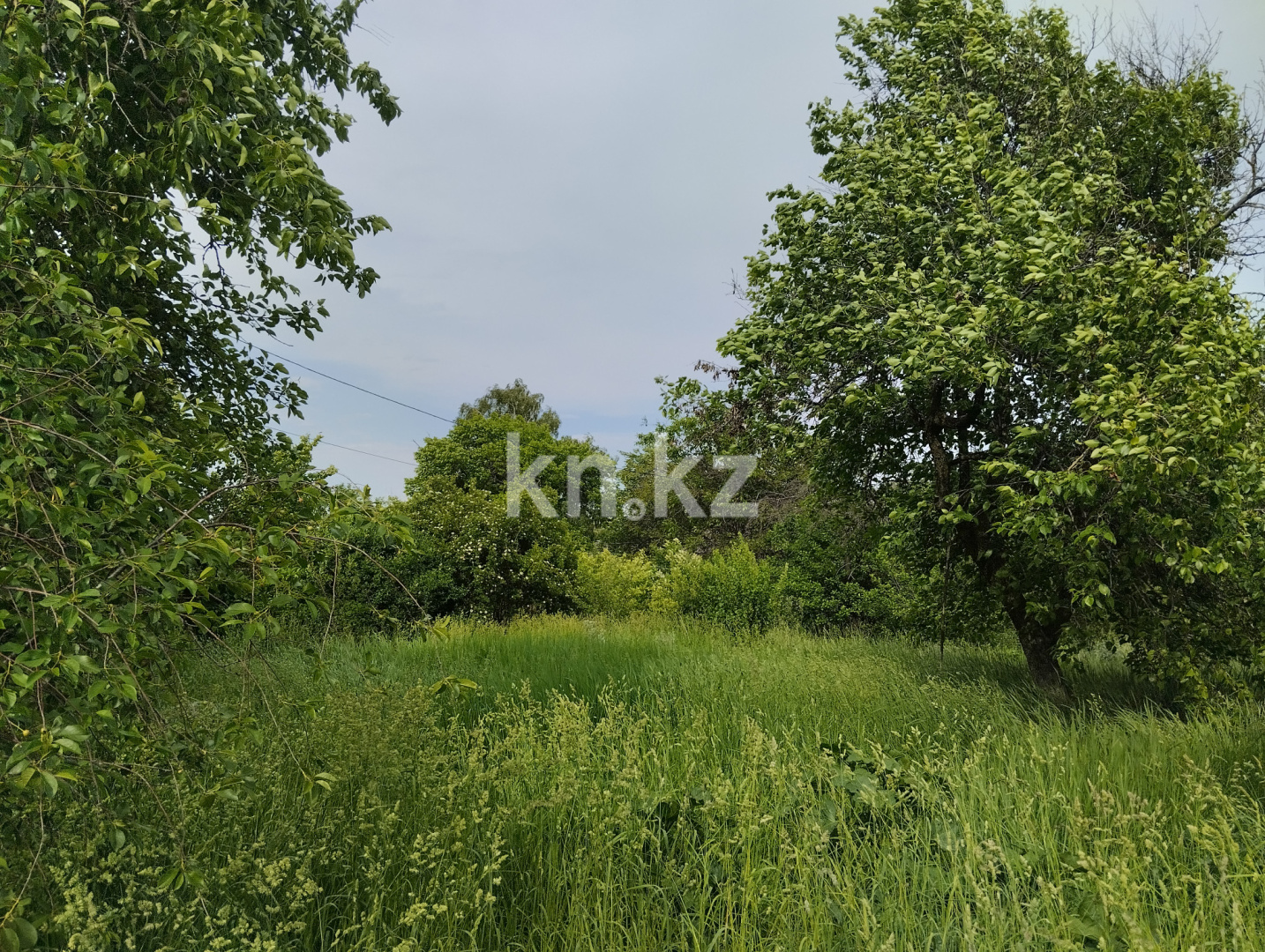 Продажа дачи, 11 сот., Юбилейный с. о. в Алматинской области - фото 25