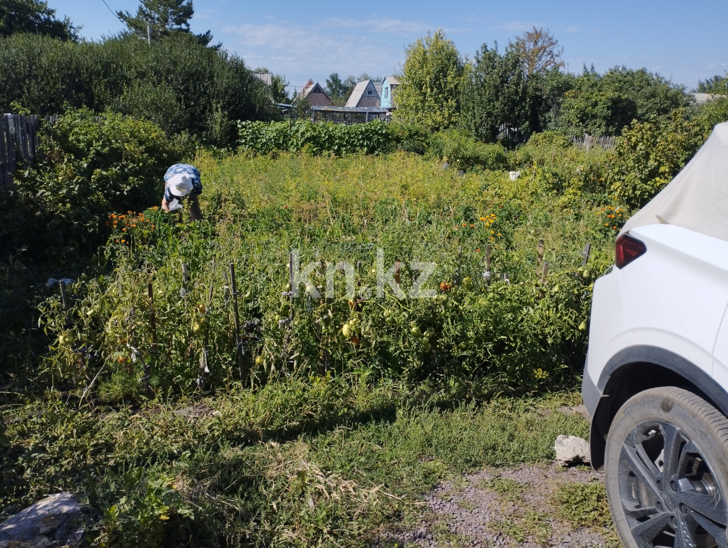 Продажа дачи, 6 сот. в Караганде - фото 3
