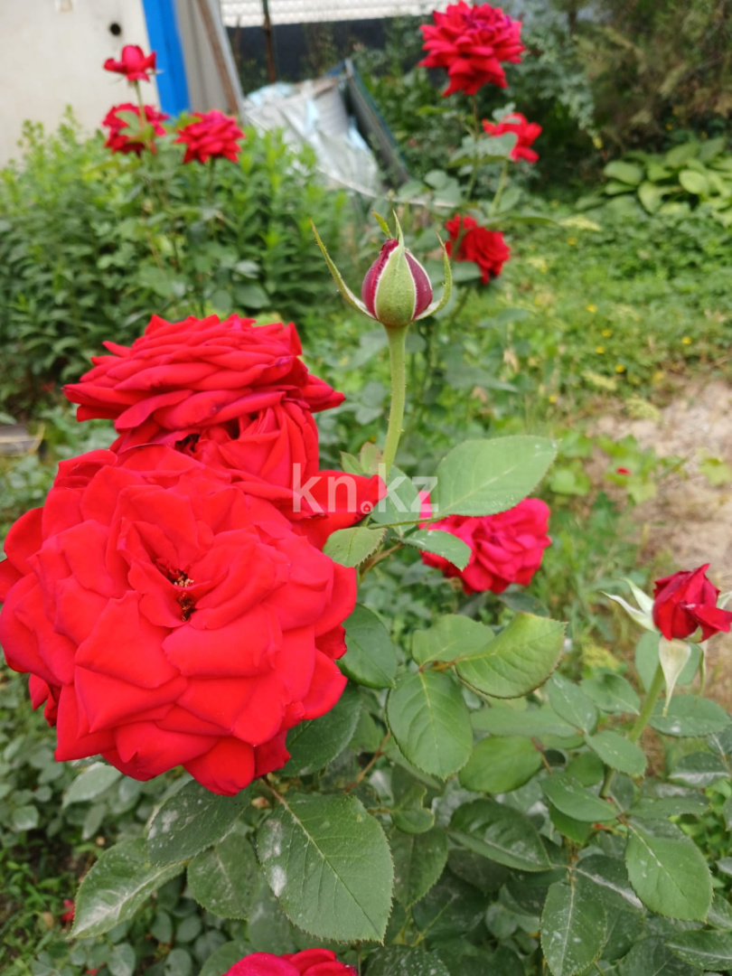 Продажа 4-комнатного дома, 90 м², ул. Урицкого в Алматы - фото 31