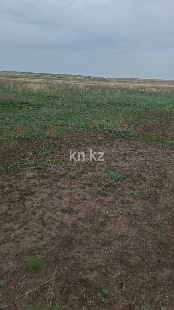 Продажа земельного участка, 18 га, Кокпекты в Карагандинской области - фото 4