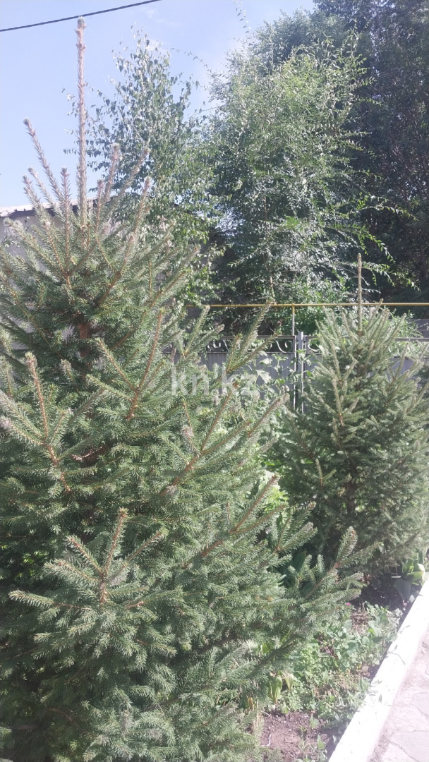 Продажа 5-комнатного дома, 250 м², ул. Восточная, дом  1 в Темиртау - фото 2