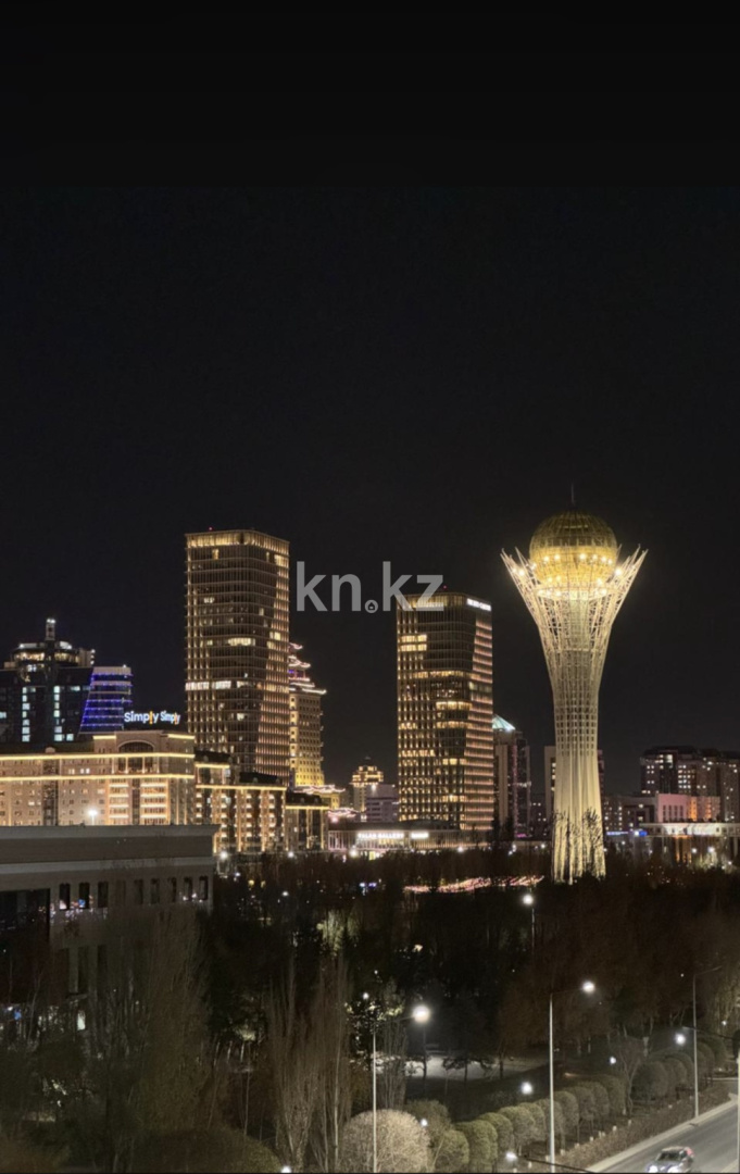 Аренда 1-комнатной квартиры посуточно, 52 м², ул. Сарайшык, дом  34 - ул. Акмешит в Астане - фото 15