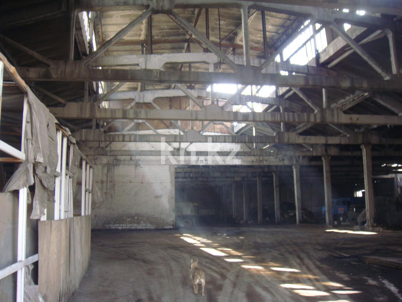 Продажа , 20000 м², ул. Сарыарка, дом  18 в Темиртау - фото 4