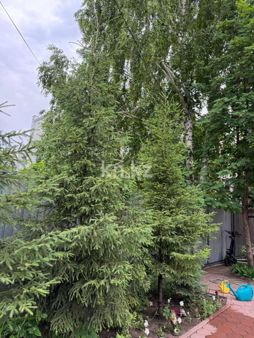 Продажа 4-комнатного дома, 248.7 м² в Астане - фото 17