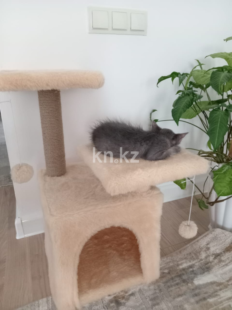 Продажа 1-комнатной квартиры, 39 м², мкр-н 35-й, дом  8 в Актау - фото 2