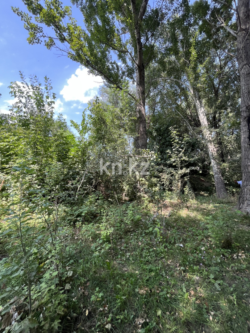 Продажа земельного участка, 22 сот., Маметова в Алматинской области - фото 10