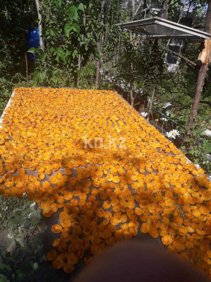 Продажа дачи, 8.5 сот., ул. Алмалы в Алматы - фото 5