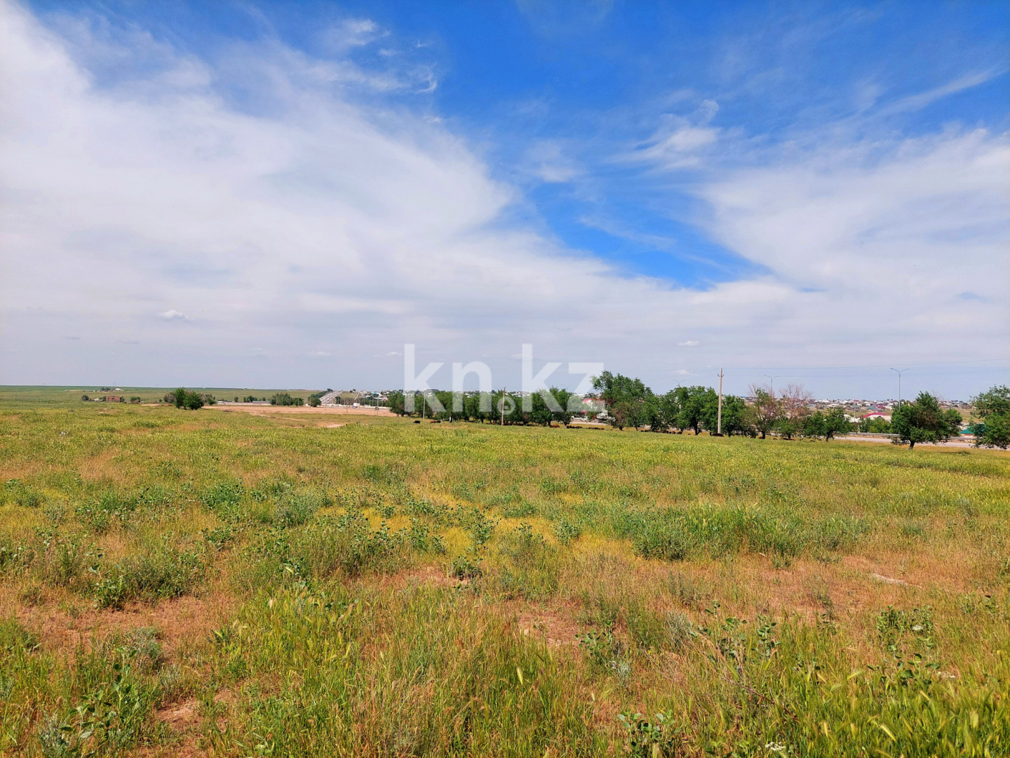 Продажа земельного участка, 3 га, Шубарсу в Шымкенте - фото 3