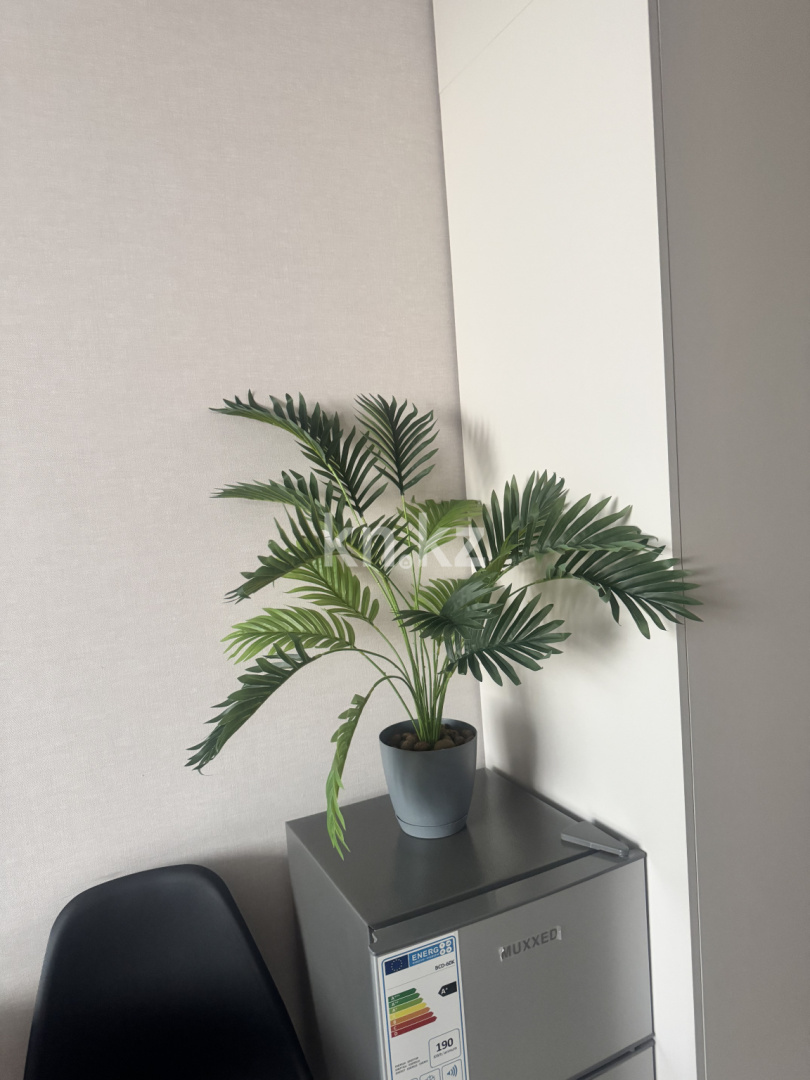 Аренда 1-комнатной квартиры посуточно, 23 м² в Астане - фото 2