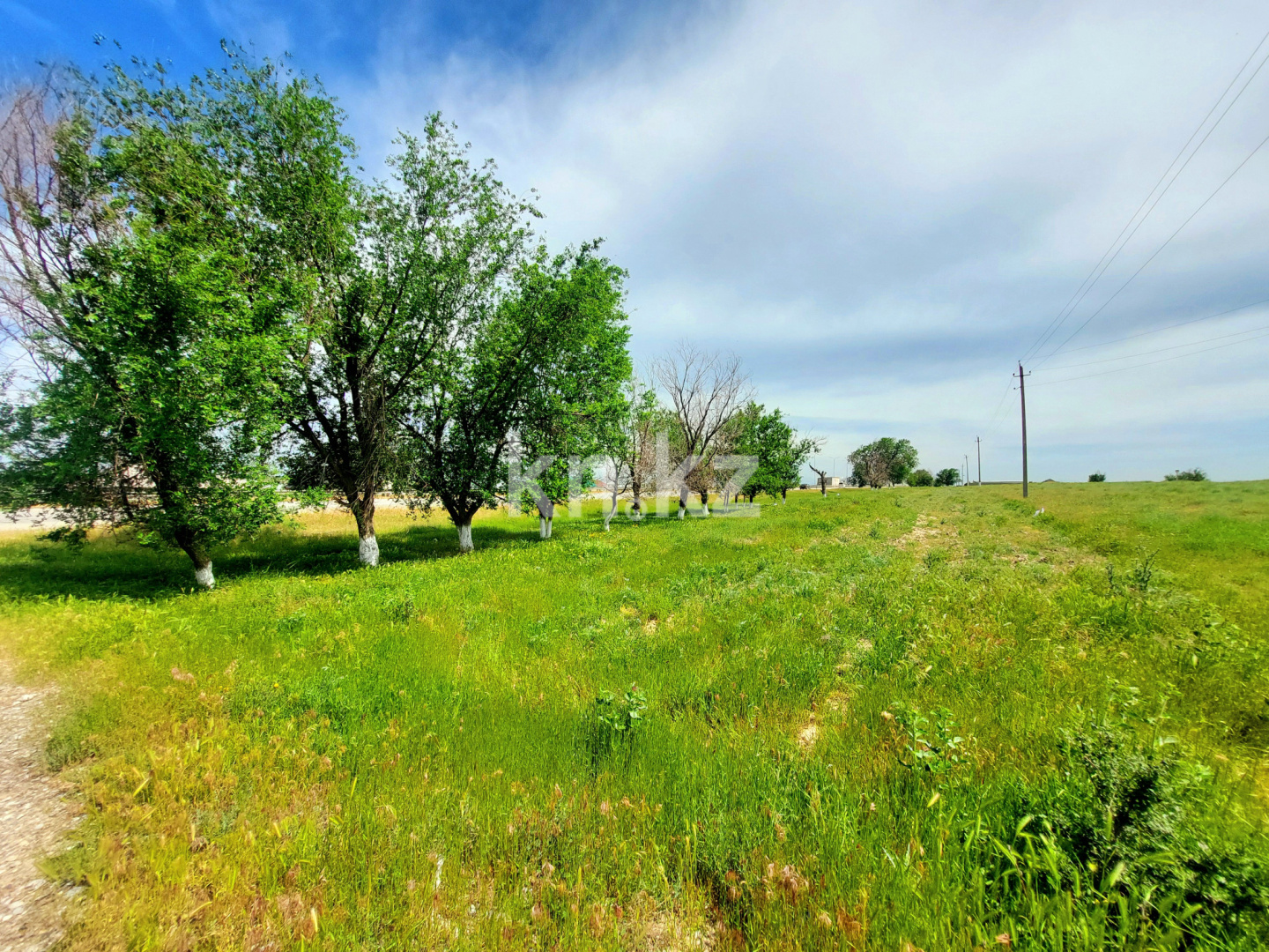 Продажа земельного участка, 3 га, Шубарсу в Шымкенте - фото 13