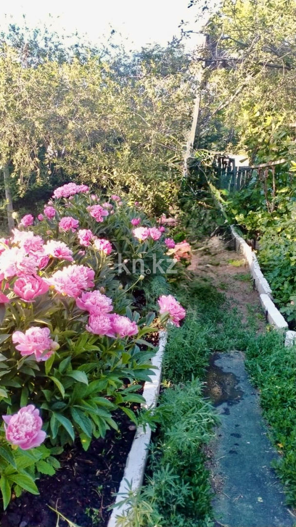 Продажа дачи, 12 сот., Елочка в Караганде - фото 32