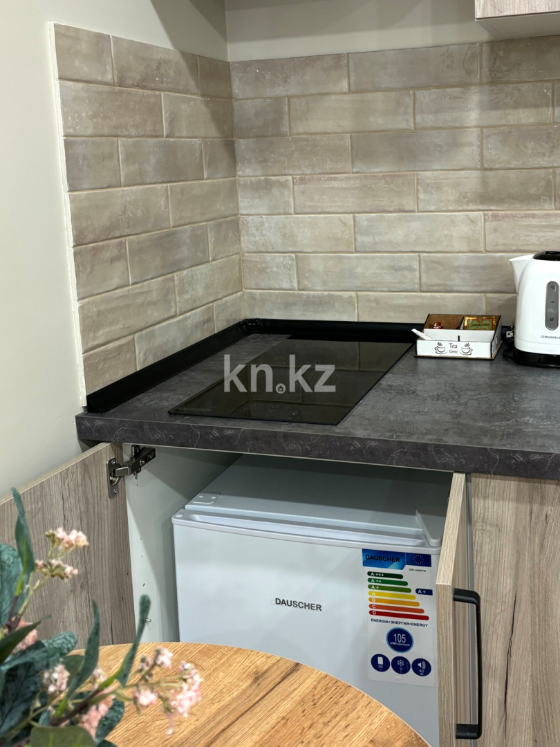 Аренда 1-комнатной квартиры посуточно, 27 м² в Алматинской области - фото 7