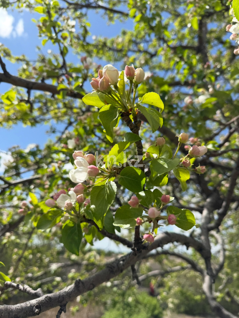 Продажа дачи, 11.4 сот., ул. Озёрная в Темиртау - фото 9