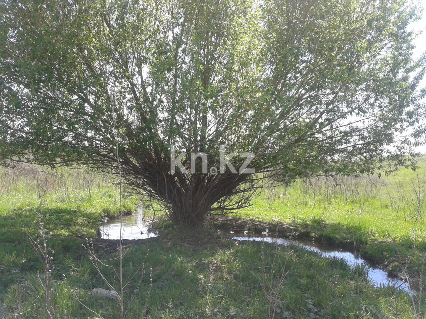 Продажа земельного участка, 10 га, Карой п. в Алматы - фото 5