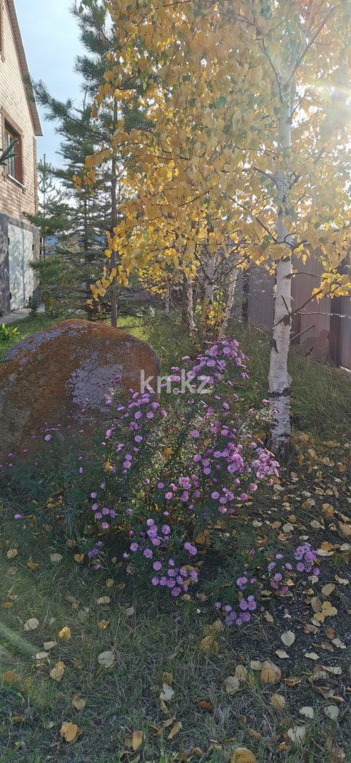 Продажа 5-комнатного дома, 510 м² в Акмолинской области - фото 20