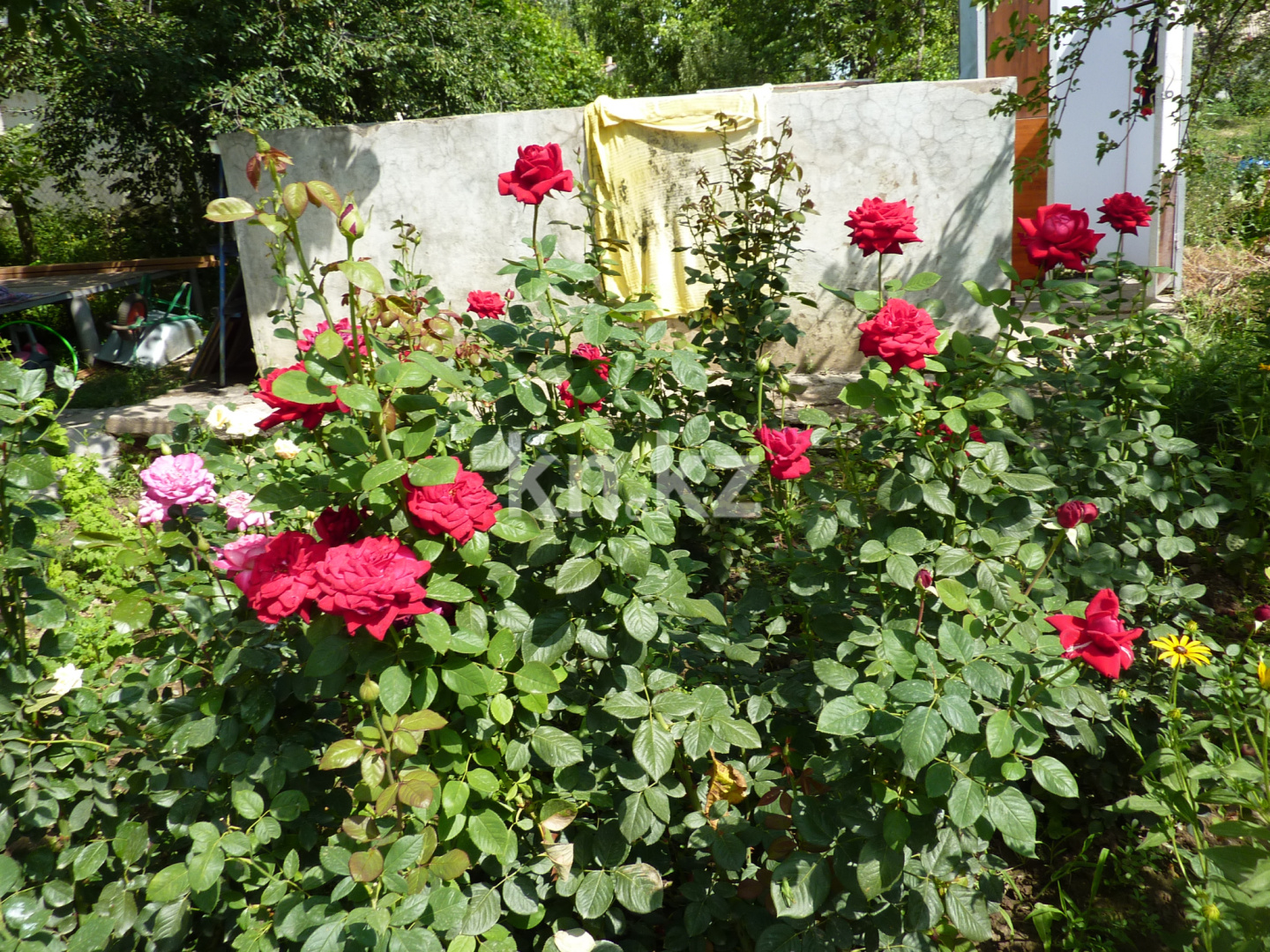 Продажа дачи, 8 сот. в Шымкенте - фото 13