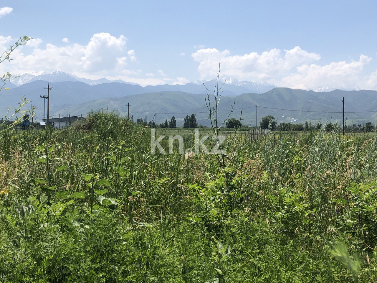 Продажа земельного участка, 144 сот., Алатау в Алматы