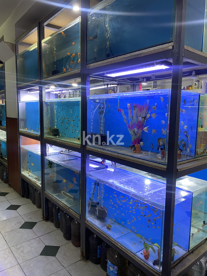 Продажа , 60 м², ул. Казахстанская, дом  22 в Караганде - фото 2