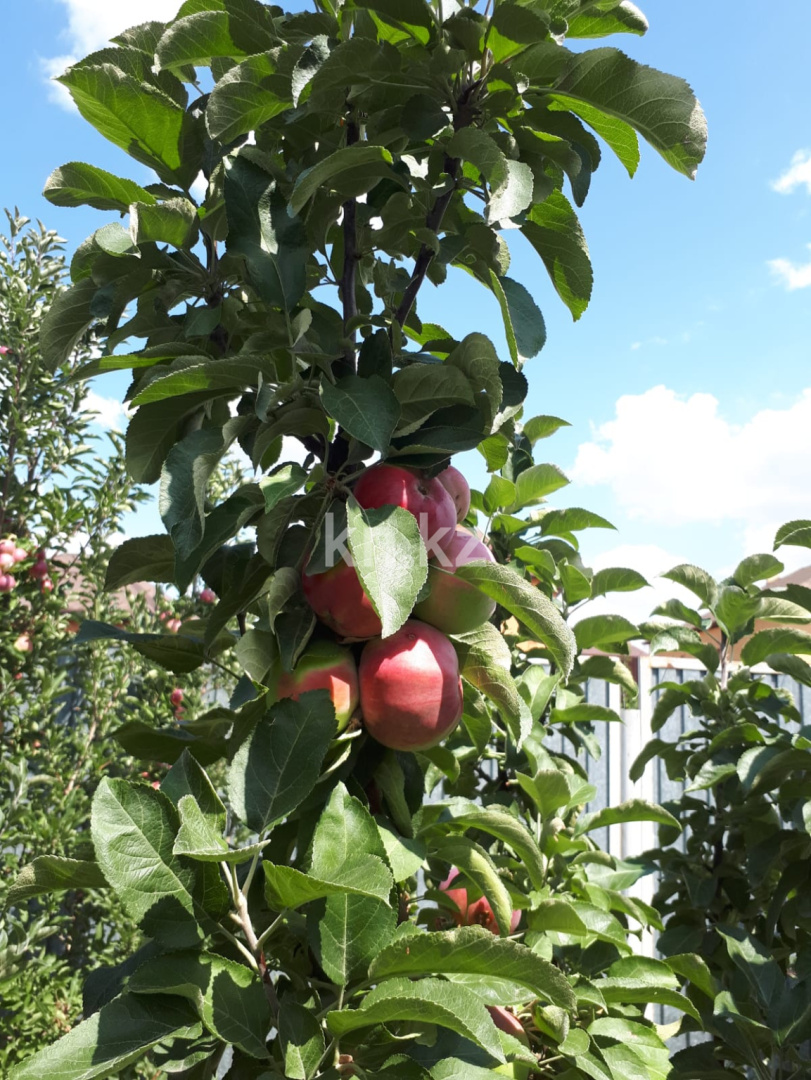 Продажа 5-комнатного дома, 385 м², мкр. Городской аэропорт в Караганде - фото 10